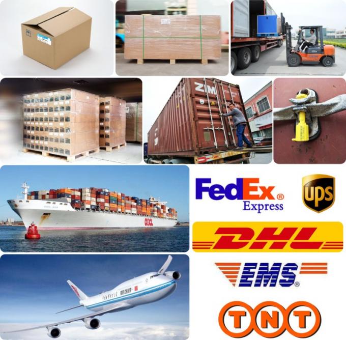 DE08 D1146 حشية رأس الأسطوانة للحفارات والحافلات والشاحنات 65.03901-0070 400603-00119 65.03901-0058 18